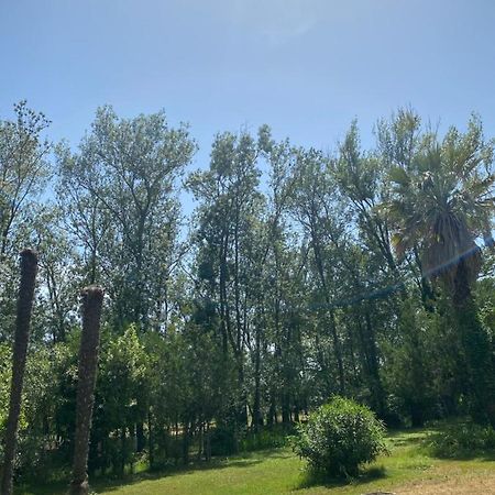 Chalet En Pleine Nature Ла Рокет-Сюр-Сиань Экстерьер фото